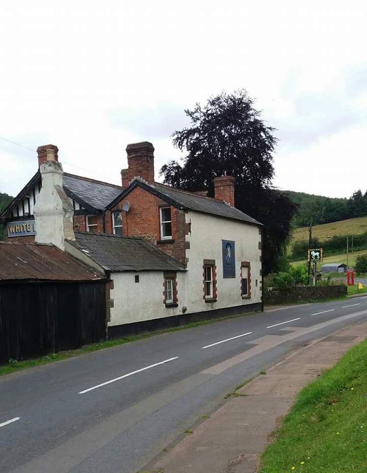 FB_IMG_1518469737358